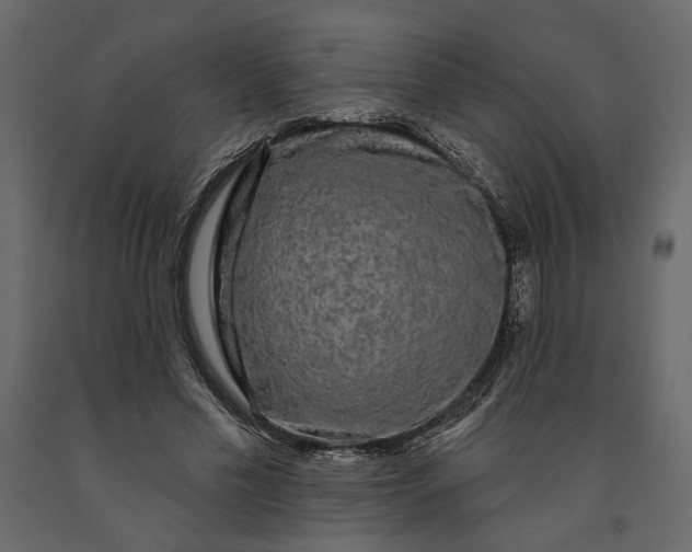 X0000091090589200708271258