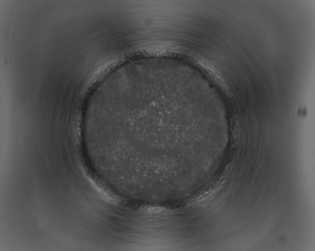 X0000091090590200708271257