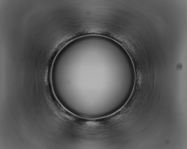 X0000091090591200708271257