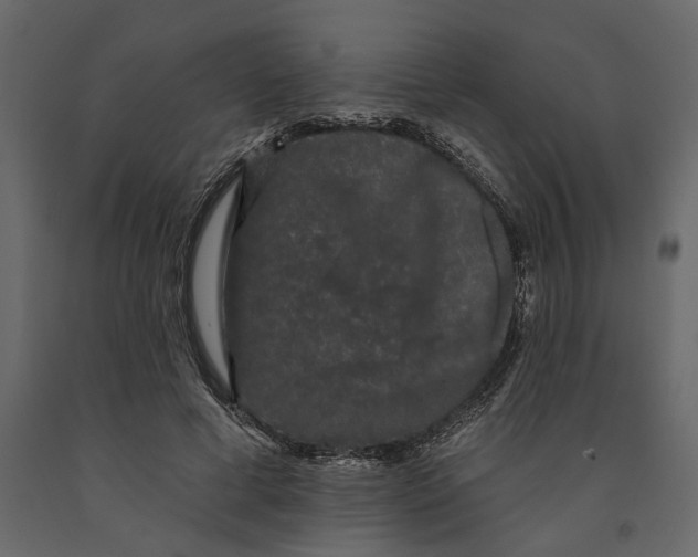 X0000091090593200708271257