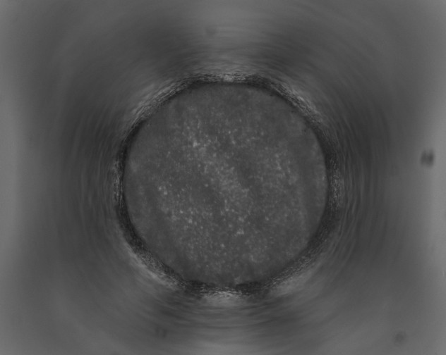 X0000091090594200708271257