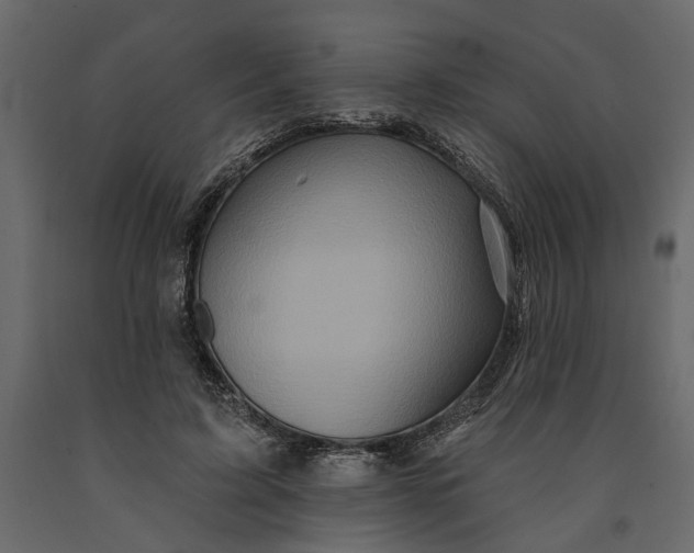 X0000091090595200708271257