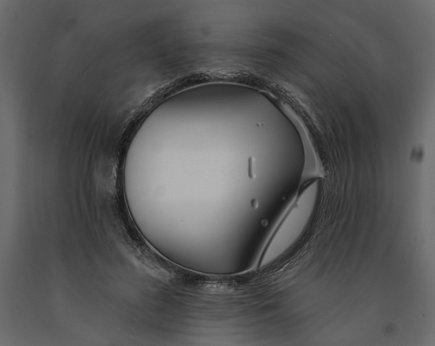 X0000091090596200708271257