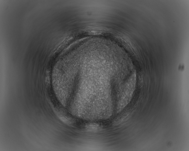 X0000091090598200708271257