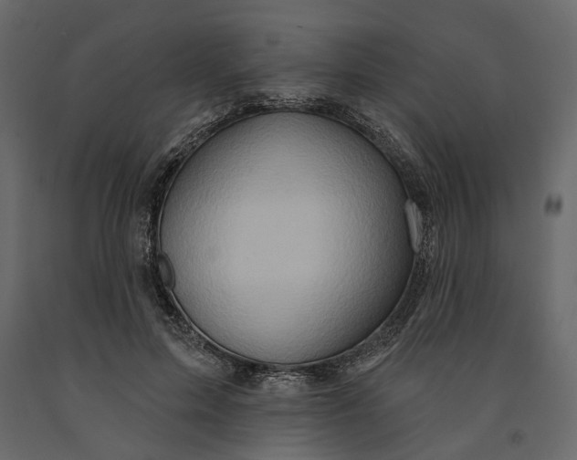 X0000091090599200708271257