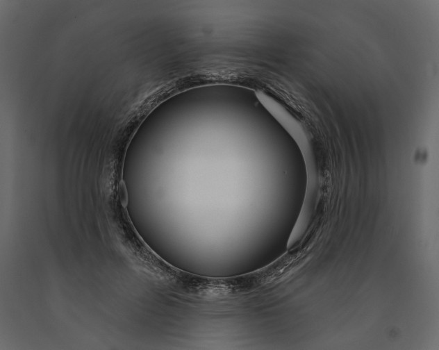 X0000091090600200708271257