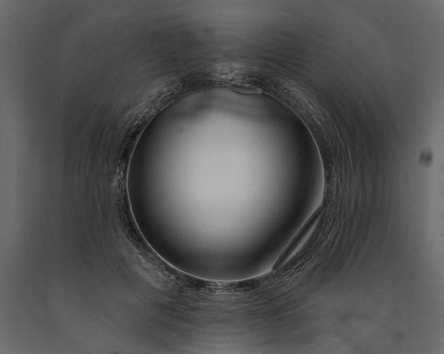 X0000091090601200708271257