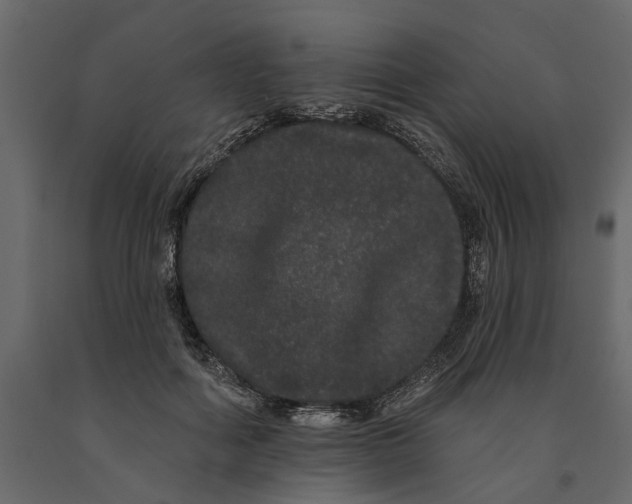 X0000091090602200708271257