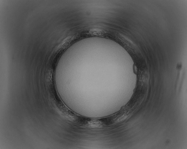 X0000091090603200708271257