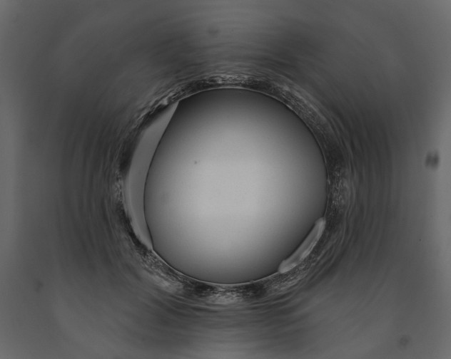 X0000091090604200708271257