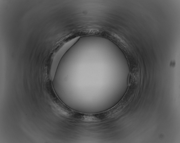 X0000091090605200708271257