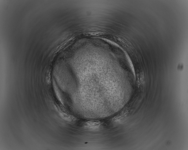 X0000091090606200708271257