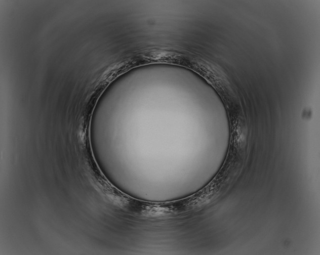 X0000091090607200708271257