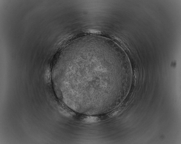 X0000091090609200708271257