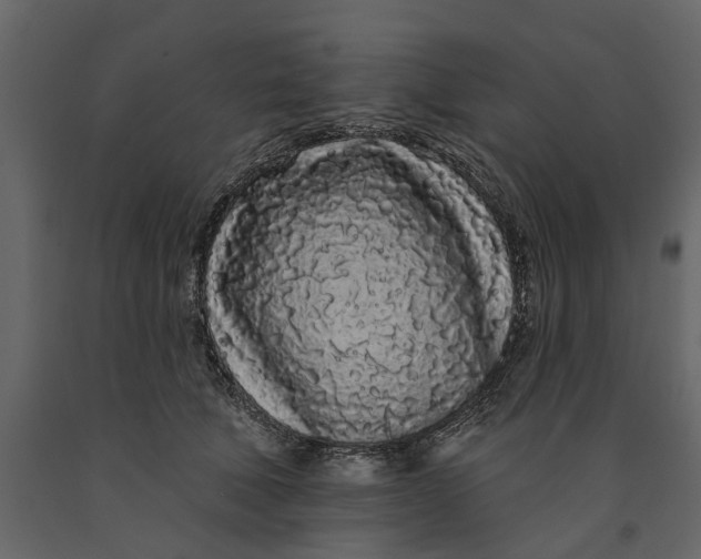 X0000091090610200708271257