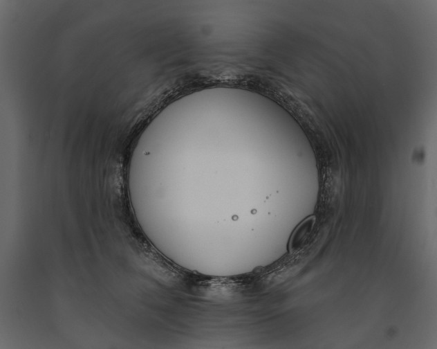 X0000091090612200708271257