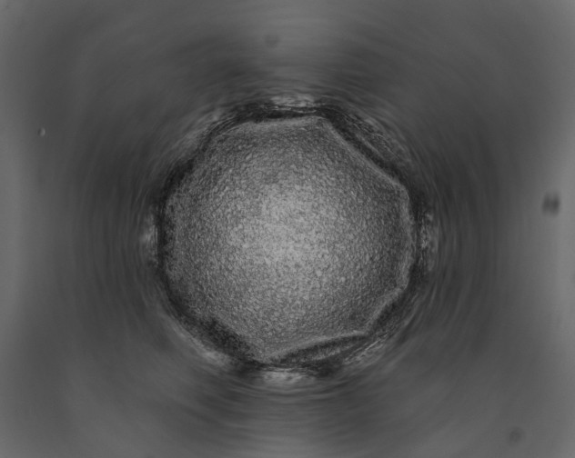 X0000091090614200708271257