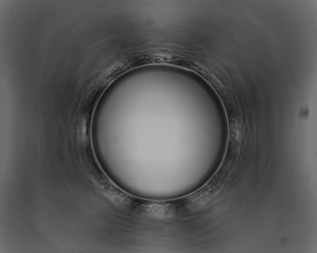 X0000091090615200708271257