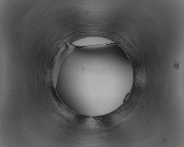 X0000091090616200708271257