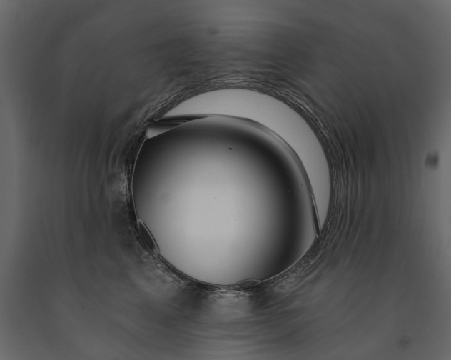 X0000091090617200708271257