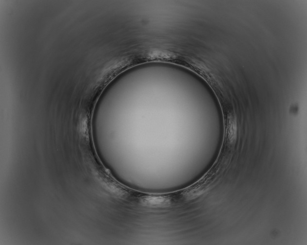 X0000091090619200708271257