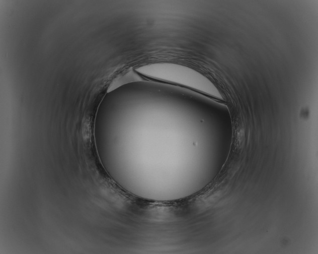 X0000091090620200708271257