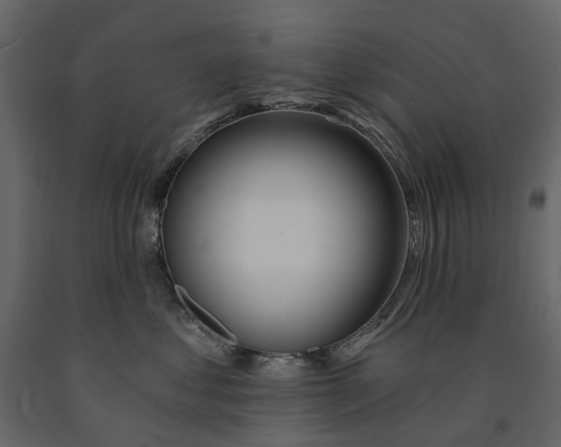 X0000091090621200708271257