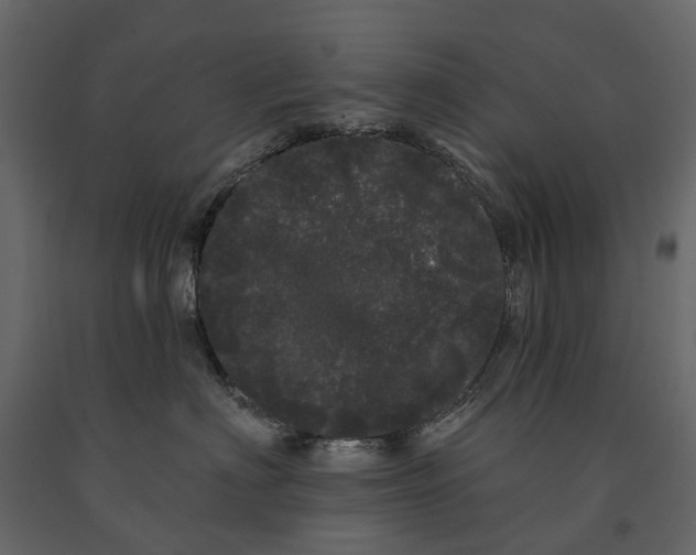 X0000091090622200708271257