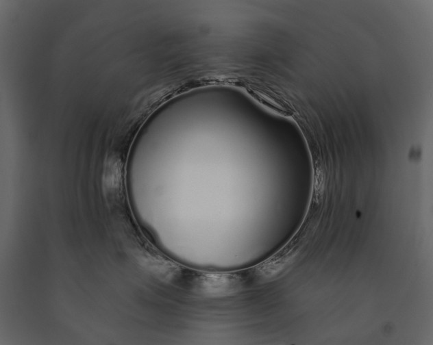 X0000091090623200708271257