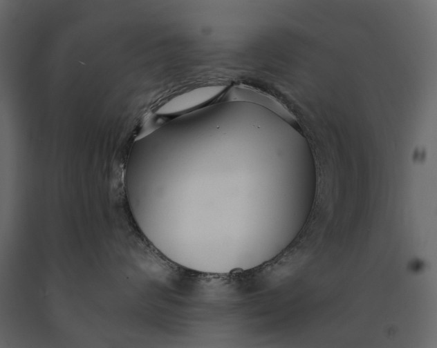 X0000091090624200708271257