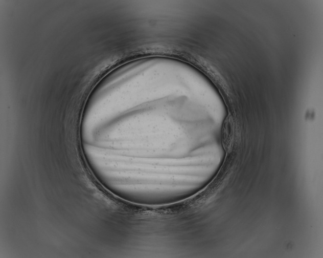 X0000091090625200708271256