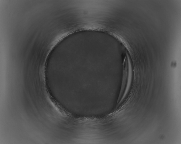 X0000091090626200708271256