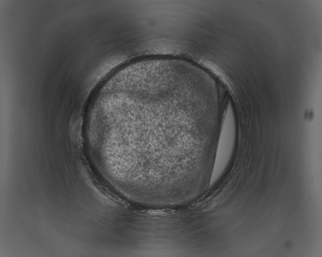 X0000091090627200708271257