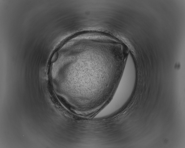 X0000091090628200708271257