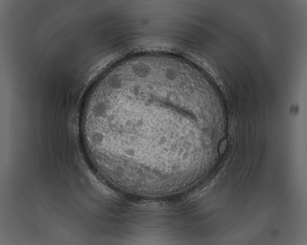 X0000091090629200708271257