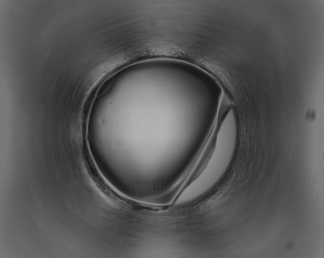 X0000091090630200708271257