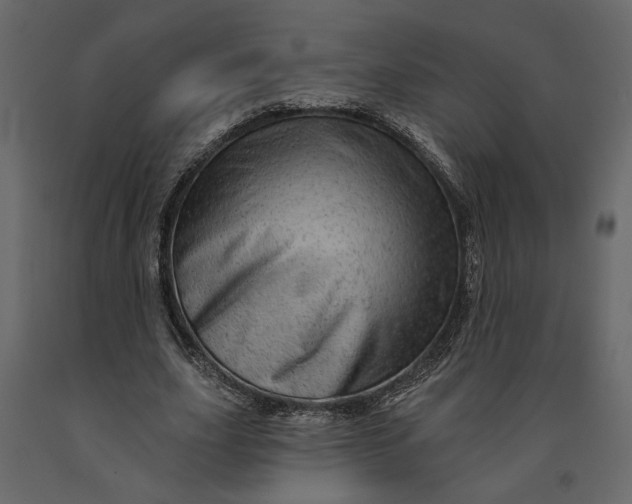 X0000091090631200708271257