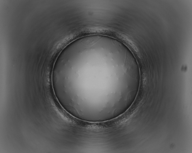 X0000091090633200708271257