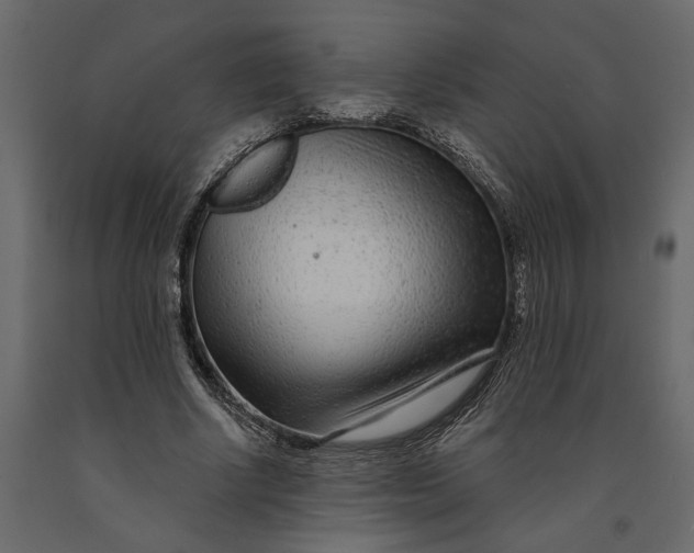 X0000091090634200708271257