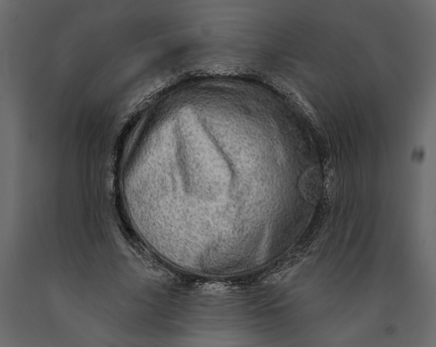 X0000091090635200708271257