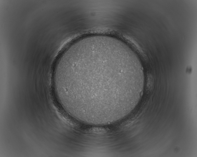 X0000091090636200708271257