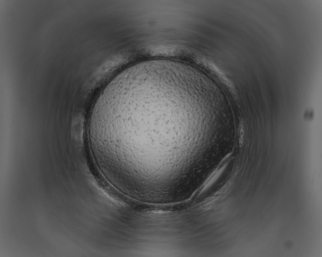 X0000091090637200708271257