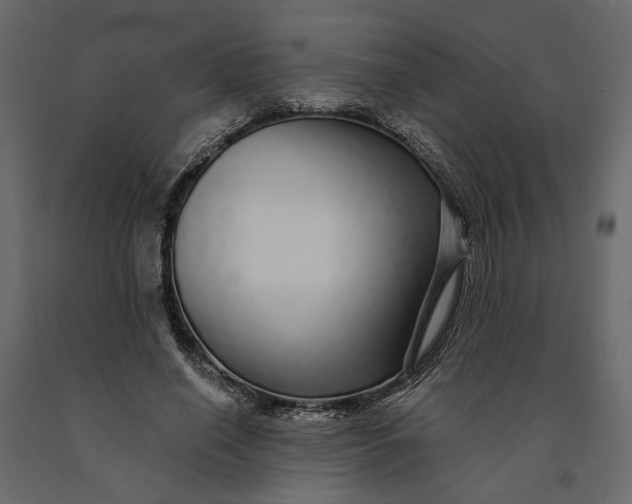 X0000091090638200708271257