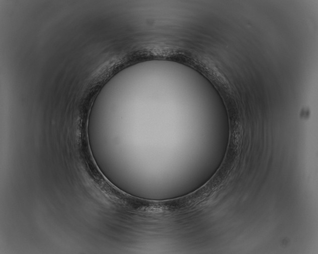 X0000091090639200708271257