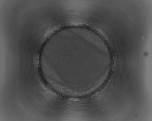 X0000091090640200708271257