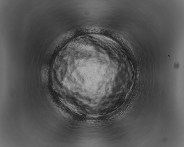 X0000091090641200708271257