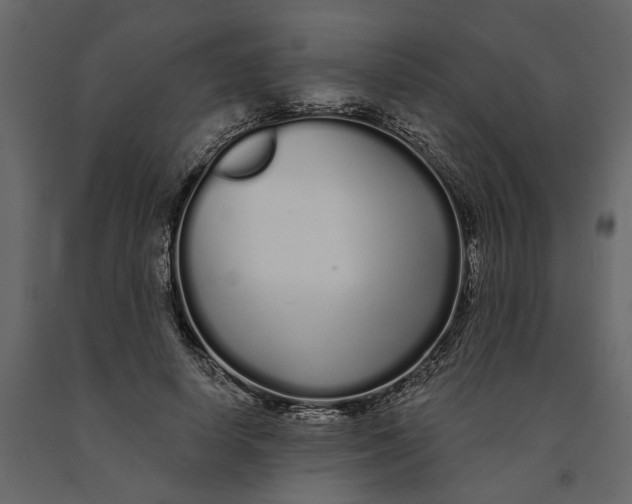 X0000091090642200708271257