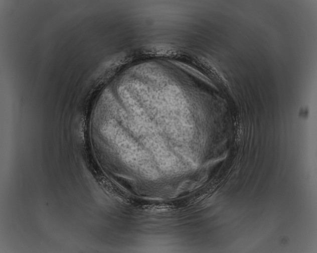 X0000091090643200708271257