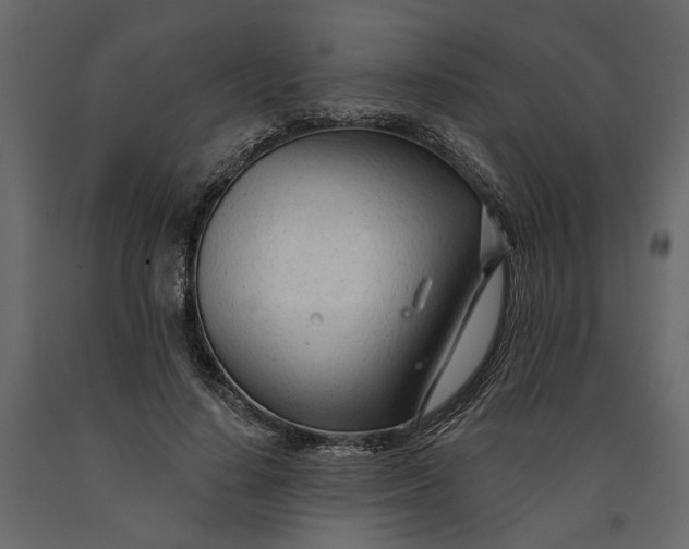 X0000091090644200708271257