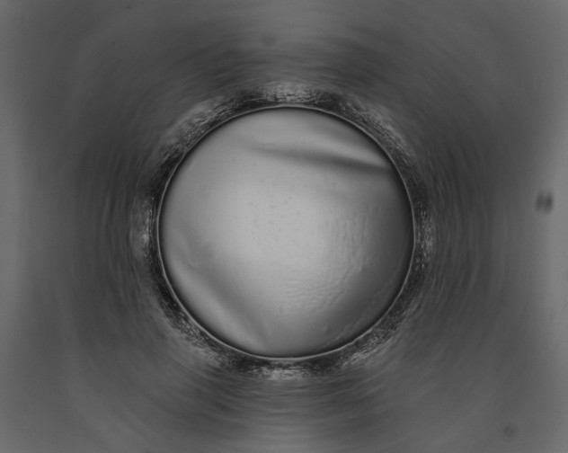 X0000091090645200708271257